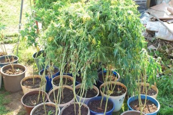 Ilustračný obrázok k článku Vek Slovákov závislých od drog klesá: Skúšajú ich už žiaci!